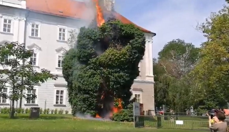 Autor videa: David Tieku