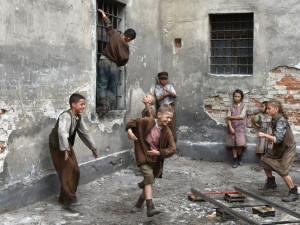 nabarvené ptáče60