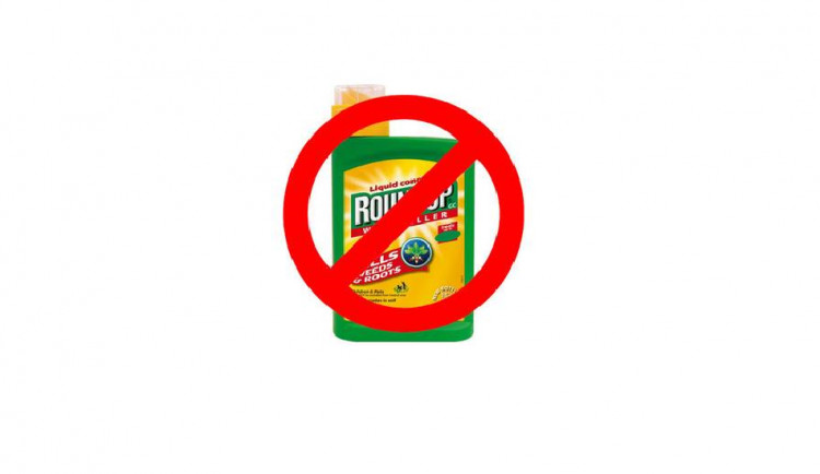 Brno chce do roku 2020 úplně zakázat stříkání veřejných prostranství Roundupem