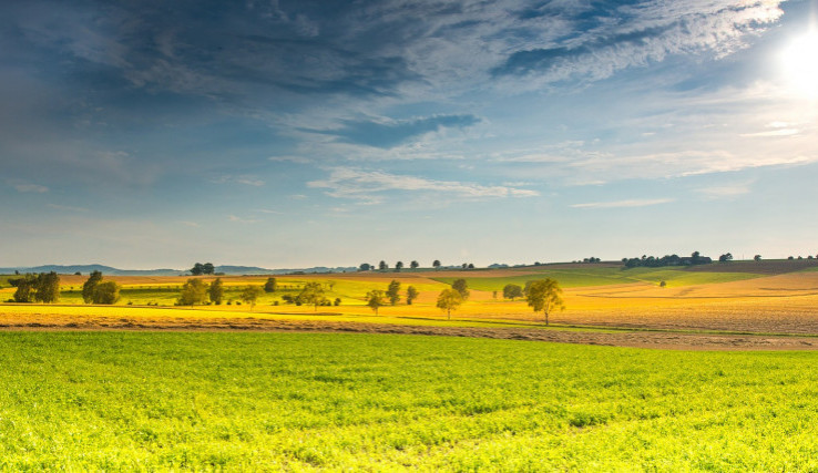 POČASÍ NA PONDĚLÍ: Slunce na nebi a teploty okolo třicítky