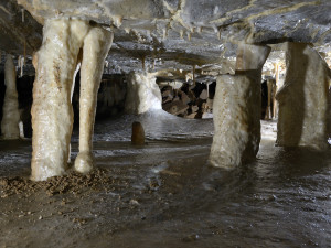 Holštejnská jeskyně, foto: Jan Netopejr Moravec
