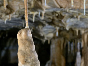 Holštejnská jeskyně, foto: Jan Netopejr Moravec