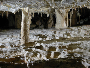 Holštejnská jeskyně, foto: Jan Netopejr Moravec