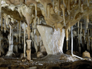 Holštejnská jeskyně, foto: Jan Netopejr Moravec