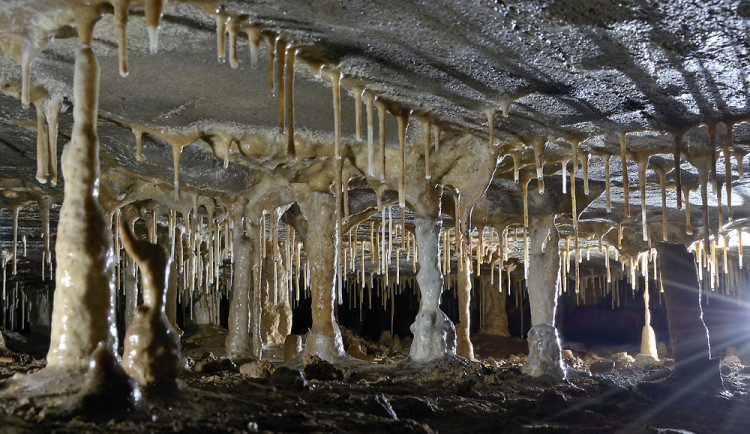Holštejnská jeskyně, foto: Jan Netopejr Moravec