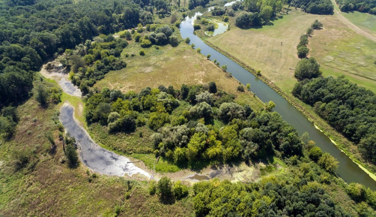 Řeka Dyje bude do roka o více než kilometr delší 