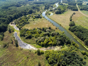 Řeka Dyje bude do roka o více než kilometr delší 