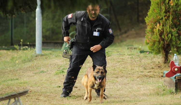 Jižní Morava má oficiálně nejlepší policejní psovody v republice