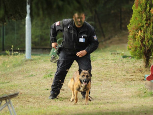Jižní Morava má oficiálně nejlepší policejní psovody v republice