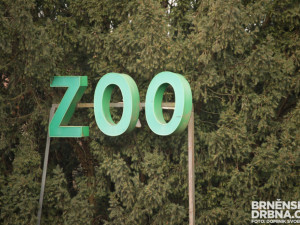 Brněnská zoo postaví lanovku! Chystají se i nové expozice, včetně cesty do pravěku