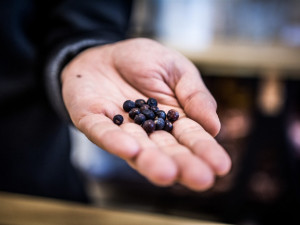 Autor: Tomáš Hrivňák