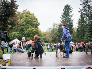 Autor: Tomáš Hrivňák