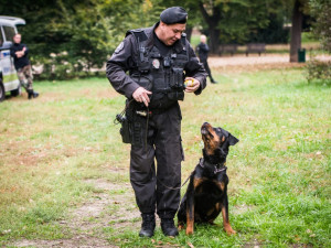 Autor: Tomáš Hrivňák