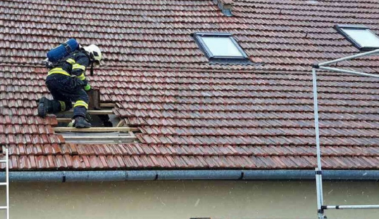 ilustrační foto