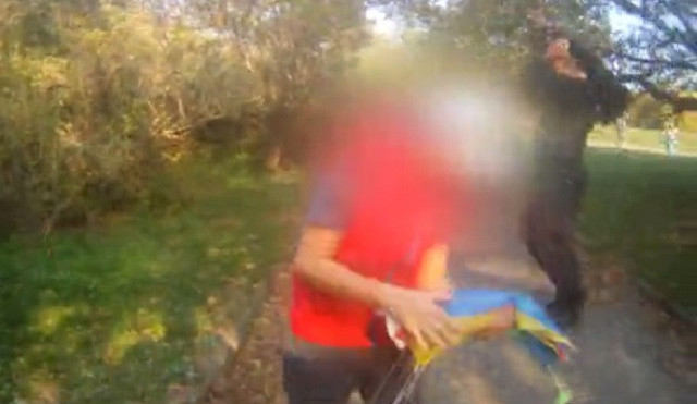 VIDEO: Chlapečkovi se na Kraváku zasekl v koruně stromu papírový drak, vylezli pro něj strážníci