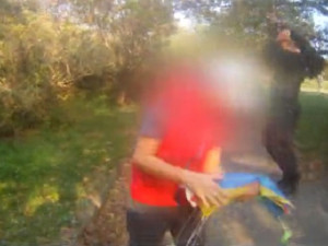 VIDEO: Chlapečkovi se na Kraváku zasekl v koruně stromu papírový drak, vylezli pro něj strážníci