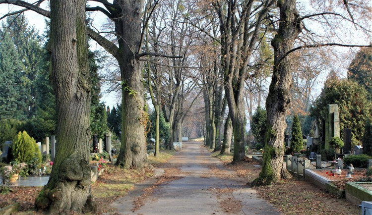 AKTUÁLNĚ: Kvůli silnému větru se uzavřely všechny brněnské hřbitovy