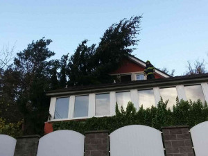 FOTO: Kvůli silnému větru padaly stromy na domy i auta. 2500 domácností skončilo bez elektřiny