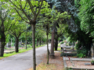 Brněnské hřbitovy se opět otevřely. Dokonce v prodlouženém režimu