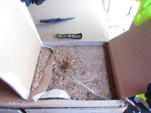 Zdroj: Celní správa