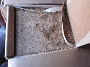 Zdroj: Celní správa