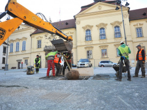 Stromy na Dominikánském náměstí