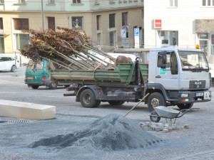Stromy na Dominikánském náměstí
