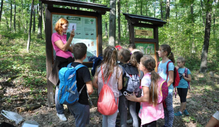 Lesní pedagogika má v Brně zelenou. V Řečkovicích bude děti učit stezka U Mravence Lesíka