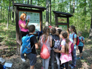 Lesní pedagogika má v Brně zelenou. V Řečkovicích bude děti učit stezka U Mravence Lesíka