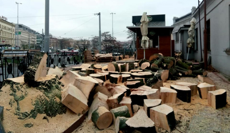 Do konce příštího roku vysadíme nové stromy, slibuje developer ohledně hlavního nádraží
