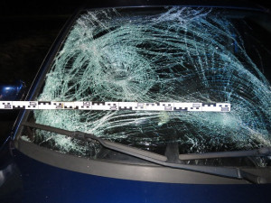 Muž šel po setmění po špatné straně silnice a bez reflexních prvků, srazilo ho auto
