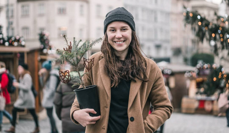 Zájem o jedličky je v Brně obrovský