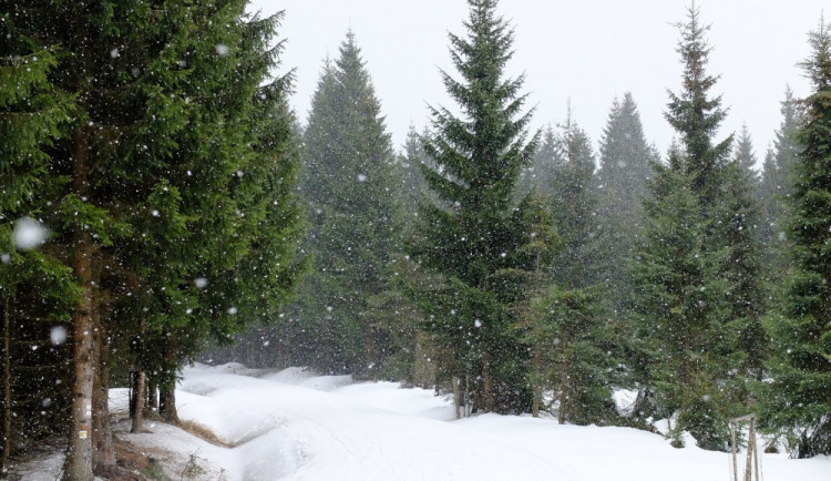POČASÍ NA ÚTERÝ: Zataženo a teploty se přes den dostanou nad nulu