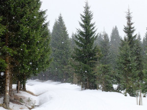 POČASÍ NA ÚTERÝ: Zataženo a teploty se přes den dostanou nad nulu