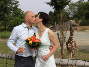 Svatba mezi zvířaty? Město začne nabízet svatební obřady v brněnské zoo