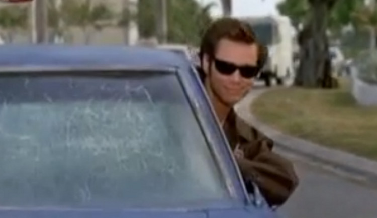 Ace Ventura, ilustrační foto