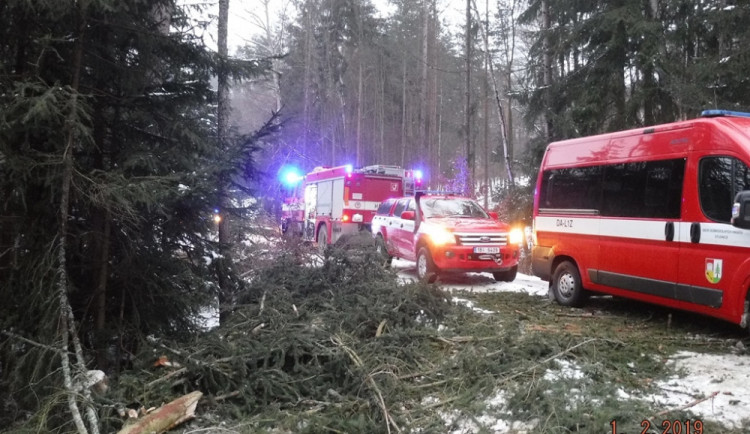 Na lesní dělníky na Vyškovsku spadl strom. Jeden z nich na místě zemřel