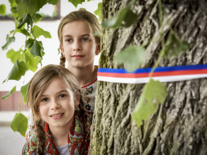 Lípa z Velkých Opatovic