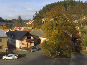 Lípa z Velkých Opatovic