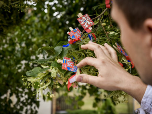 Lípa z Velkých Opatovic