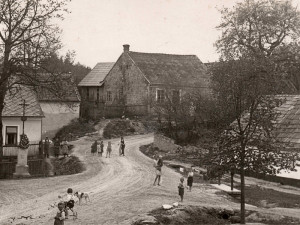 Lípa z Velkých Opatovic