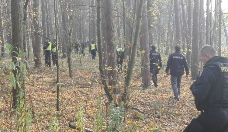 Desítky policistů pátraly po osmdesátileté seniorce, která se nevrátila domů. Ležela podchlazená v lese