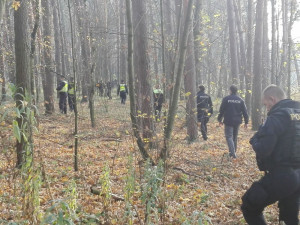 Desítky policistů pátraly po osmdesátileté seniorce, která se nevrátila domů. Ležela podchlazená v lese