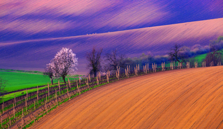 Krajina okolo Šardic