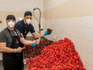 Dva Brňané v USA obhájili titul nejlepších výrobců chilli omáček na světě
