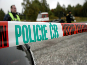 Útočníci se v Brně pokusili zavraždit mladého muže, těžce zraněného ho pak pohodili v lese