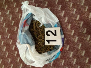 Policisté zabavili 50 kilo trávy, dealer byl přitom na marihuanu alergický.