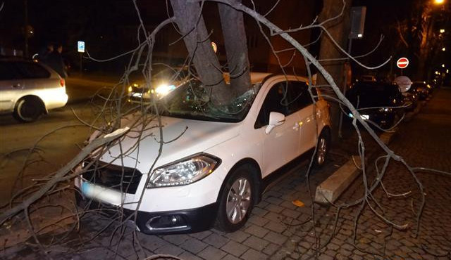 FOTO: Silný vítr zanechal značné škody i v Brně. Řidič auta může mluvit o velkém štěstí