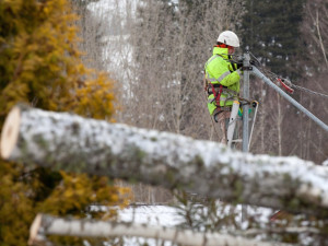 Na jižní Moravě byl vyhlášen kalamitní stav, bez elektřiny je až 17 tisíc domácností