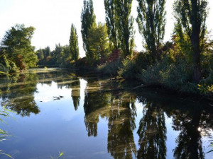 Brno nechá odčerpat bahno z Holáseckých jezer. Revitalizace přírodní památky vyjde na desítky milionů